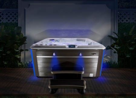 Спа бассейн Hydropool Self Cleaning 695 Gold Спа бассейн Hydropool Self Cleaning 695 Gold